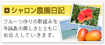 シャロン農園日記
