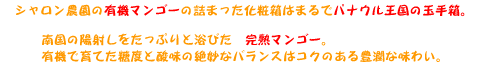 シャロン農園の有機マンゴ−の詰まった化粧箱はまるでパナウル王国の玉手箱。
