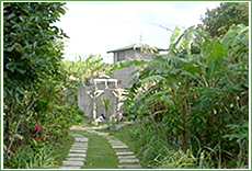 ハーブ&キッチンガーデン風景1